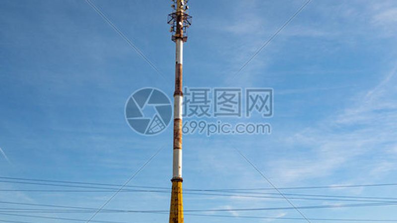 网络设备中的关键角色：路由器与交换机的同义词解析**